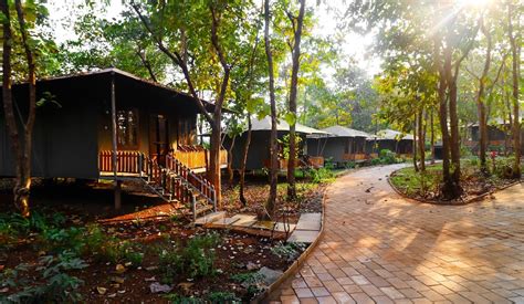 Govardhan Eco Village Reviews Photos And Rates