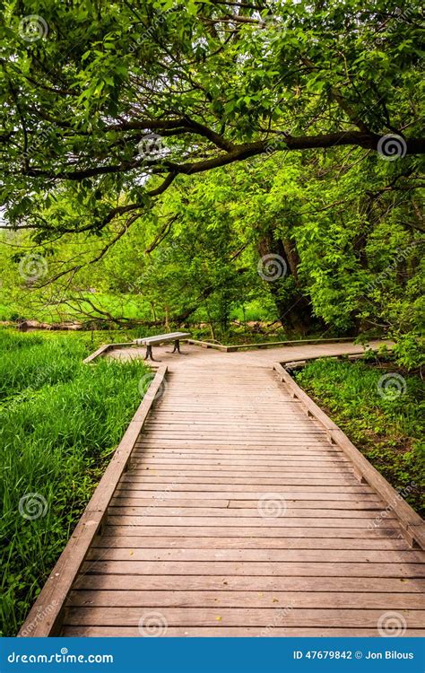 Boardwalk Trail Through The Forest At Wildwood Park Stock Photo Image