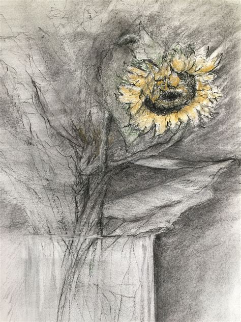 Sunflower Charcoal Pastel Drawing By Aliki Yiorkas Sunflower Art