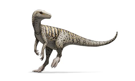 Herrerasaurus By Fredthedinosaurman Animais Pré Históricos Pré