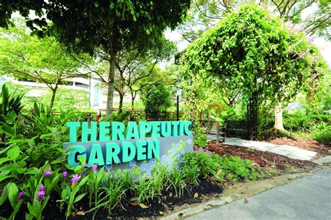 Interesting Green Therapeutic Garden To Improve Mental Well Being
