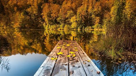 Autumn Lake View Autumn Lake Wallpaper In 2560x1440