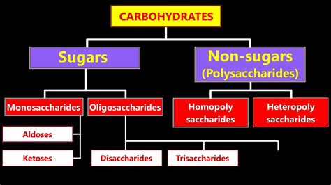 Classification of carbohydrates carbohydrates carbohydrates. Classification Of Carbohydrates - YouTube