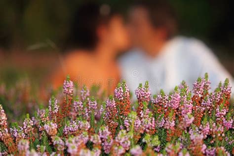 Flower Kiss Stock Photo Image Of Union Kissing Leaves 22589084