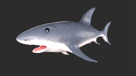 3d Model Shark Vr Ar Low Poly Rigged Cgtrader