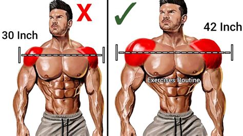 Best 7 Exercises To Build Bigger Shoulders Workout Shoulder Workout Routine Shoulder Workout