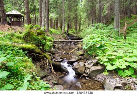 Cascades On Clear Creek Forest Stock Photo 128438438 Shutterstock