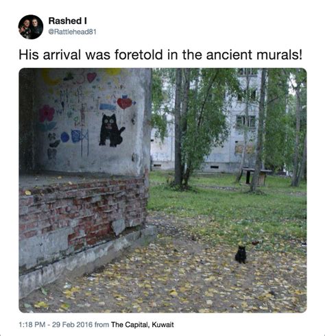 The Funniest Cat Tweets