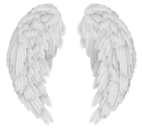 Angel Wings Png Transparent Angel Wing Png