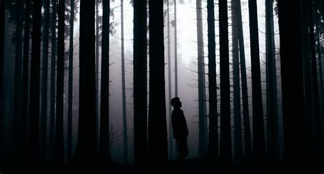 Black Forest Forest People Monochrome Silhouette Hd Wallpaper