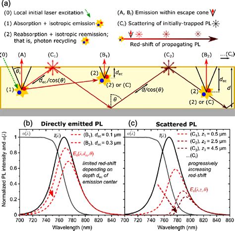 Photon Recycling In Perovskite Solar Cells And Its Impact On Device