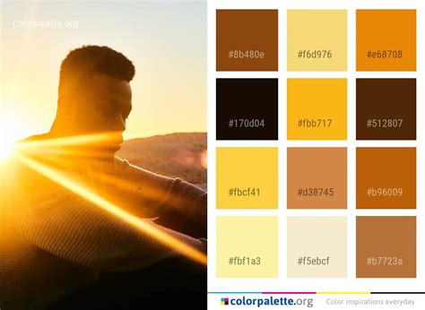 Yellow Sky Sun Color Palette