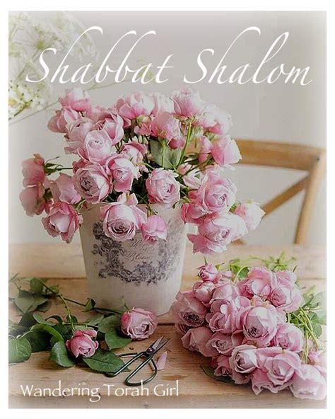 Shabbat Shalom 520 Page 2 Blogs And Forums