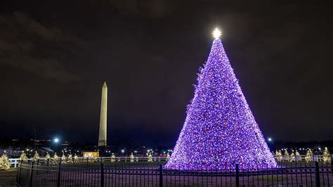The History Of The National Christmas Tree Explained