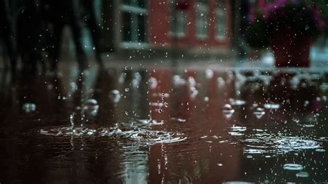 Raindrops · Free Stock Photo