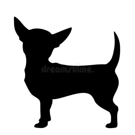 Chihuahua Pies Wektorowa Czarna Sylwetka Ilustracja Wektor Ilustracja Z O Onej Z Klamerka