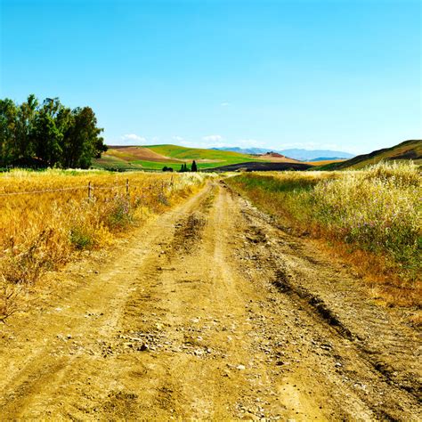 Dirt Road Between Fields Stock Image Image Of Plantation 83482755