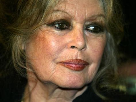 France Brigitte Bardot A Retrouvé Son Chat Le Matin