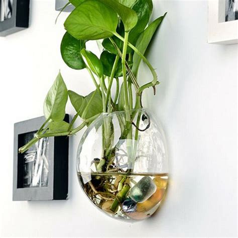 Wall Hanging Glass Terrariums Planter Flower Vase For Etsy