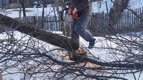 Stihl Ms 390 In Grădina Youtube