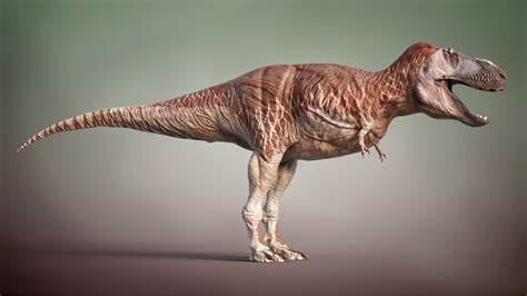 Behind The Scenes Tyrannosaurus Rex Life Reconstruction Blendernation