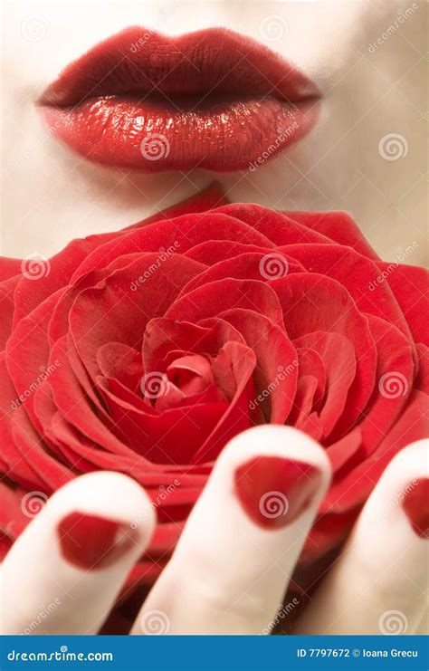 Woman Kiss And Rose Stock Photo Image Of Rose Flower