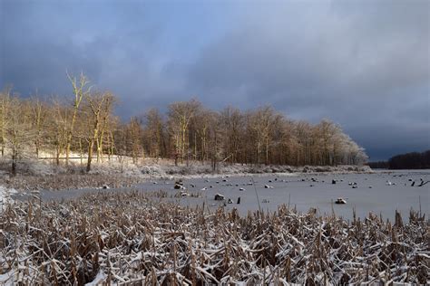Free Images Snow Sunrise Lake Sky New Jersey Park Trees Winter