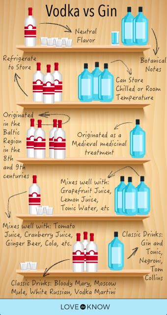 Gin Vs Vodka The Ultimate Comparison Guide Lovetoknow