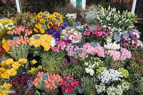 Outdoor Flower Market In Paris France Stock Photo Download Image Now
