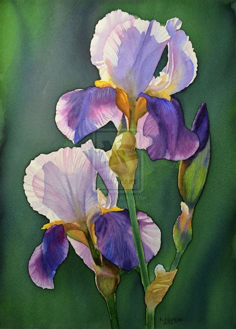 Purple Iris By Shelter85 On Deviantart Watercolor Art Iris Painting