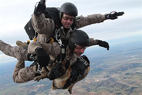 Special Forces Soldiers And Their Dogs Take Part In Tandem Parachute