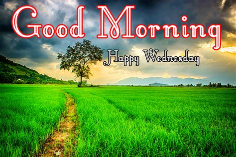 If you have the courage to pass wednesday at the office without dropping a tear, you can bear any excruciating pain in life. 211+ Good Morning Wednesday Images Greetings Picture For ...