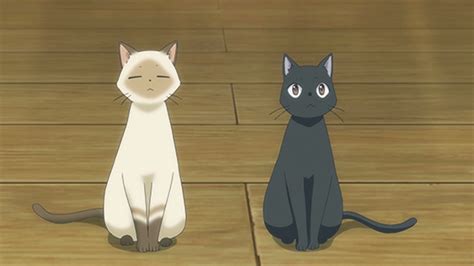 Happy International Cat Day Anime Cats We Adore Sentai Filmworks