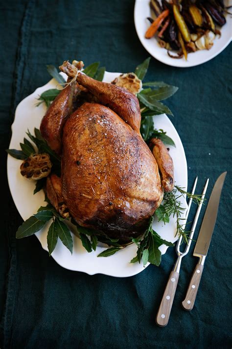 The wild turkey (meleagris gallopavo) of eastern and central north america and the ocellated turkey (meleagris ocellata) of the yucatán peninsula in mexico. Roast turkey with prune, walnut and sage stuffing recipe ...