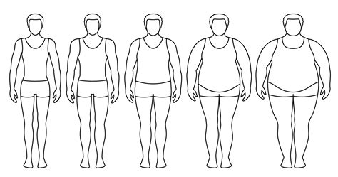 Body Mass Index Vector Illustration From Underweight To Extremely Obese Man Contours With