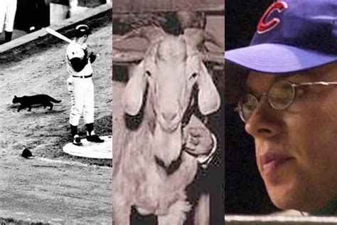 Chicago Cubs A Timeline Of Bad Luck Since The Billy Goat Curse Photos