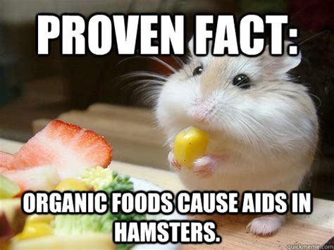 Proven Fact Organic Foods Cause Aids In Hamsters Chubby Hamster Quickmeme