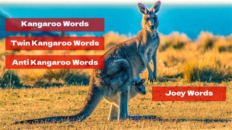 Kangaroo Words Twin Kangaroo Words Anti Kangaroo Words