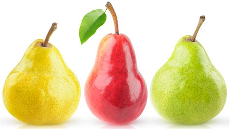 12 Types Of Pears And What Makes Them Unique