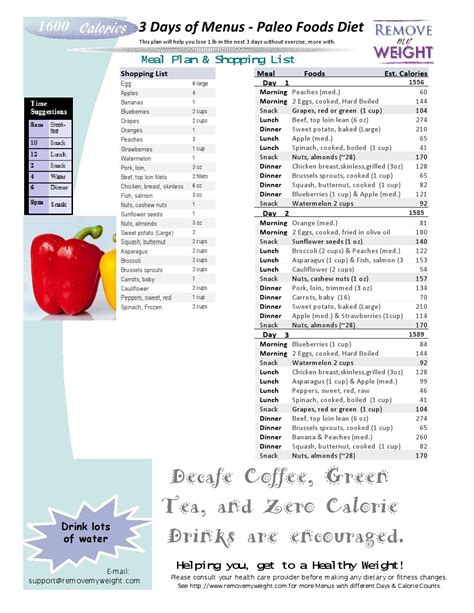 1600 Calories A Day 3 Day Paleo Diet With Shoppong List Printable
