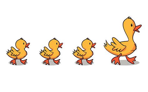 Ducks Illustrations Royalty Free Vector Graphics And Clip Art Istock