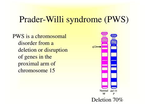 Ppt Uniparental Disomy Imprinting And Prader Willi Syndrome Sexiz Pix