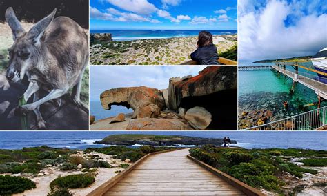 Free And Easy Kangaroo Island Tour 2 Day Itinerary 2022 Guidesify