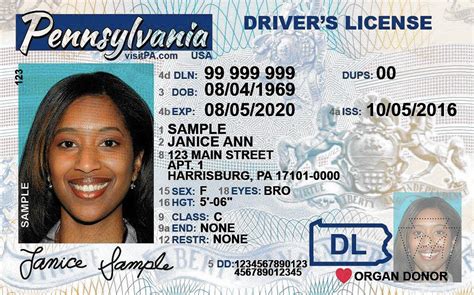 Driving License Louisiana Requirements Literacy Basics