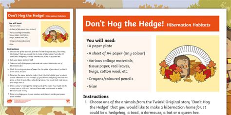 Dont Hog The Hedge Hibernation Craft Instructions Twinkl