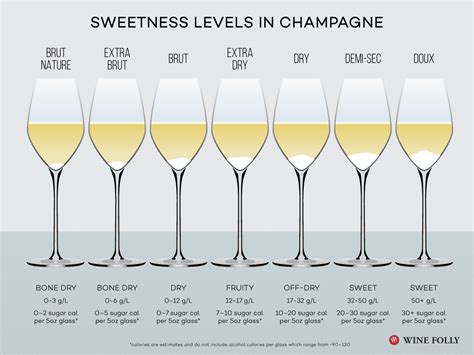 Wine Folly’s Handy Champagne Guide Wine Of The Vines