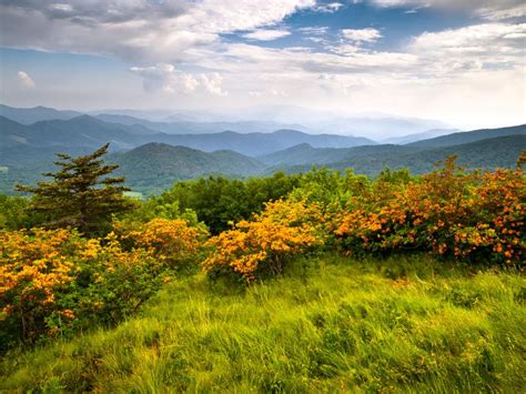 National Parks In Tennessee Travel Channel
