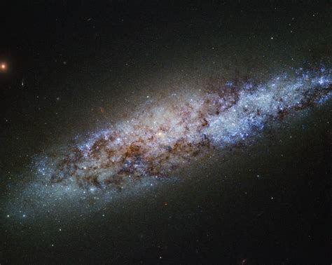 Hubble Views Dwarf Spiral Galaxy Ngc 4605