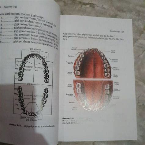 Anatomi Gigi Edisi 2 Original drg.Itjiningsih Wangidjaja | Shopee Indonesia