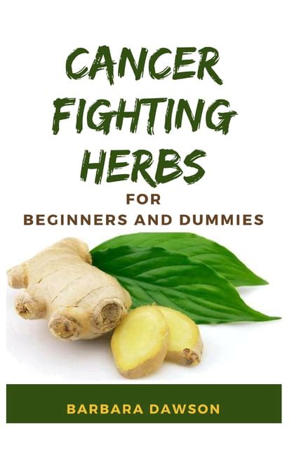 Cancer Fighting Herbs For Beginners And Dummies Perfect Guide To